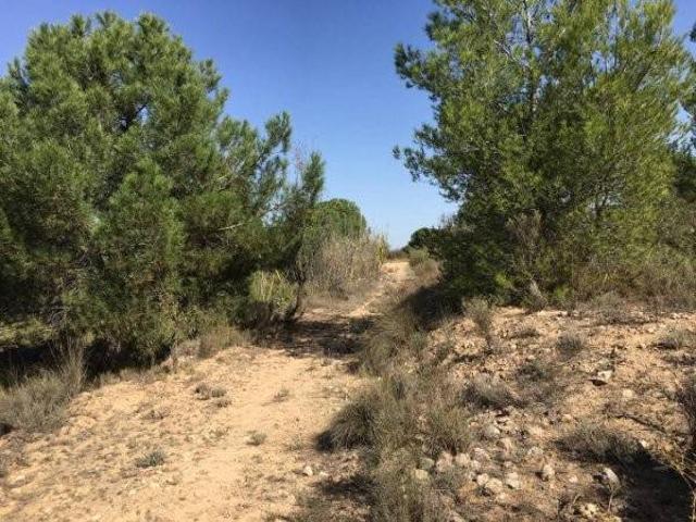 Terreno en venta en l'Alt Vinalopó / El Alto Vinalopó, Valencia