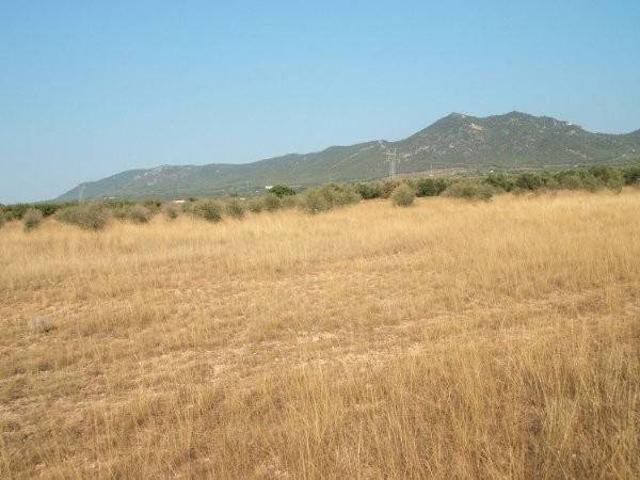 Terreno en venta en l'Alt Vinalopó / El Alto Vinalopó, Valencia