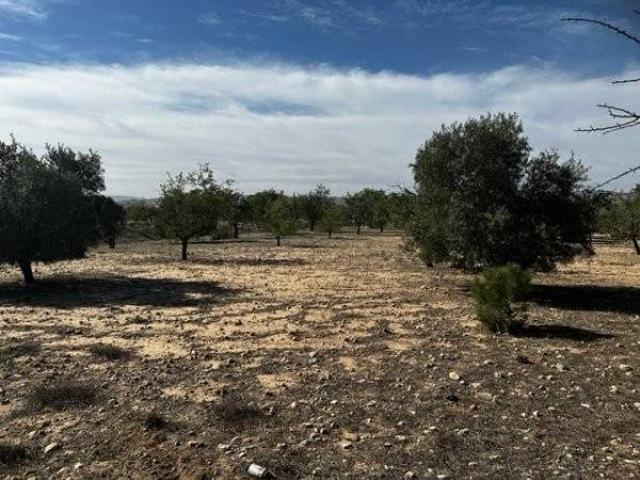 Terreno en venta en l'Alt Vinalopó / El Alto Vinalopó, Valencia