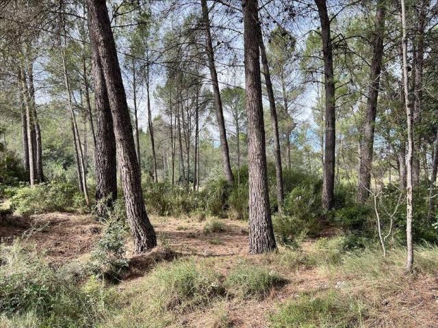 Terreno en venta en La Canal de Navarrés, Valencia