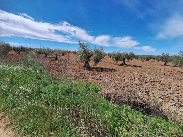 Terreno en venta en Bienvenida, Extremadura