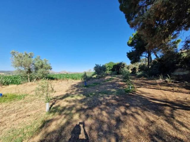 Terreno en venta en Cinca Medio, Aragón