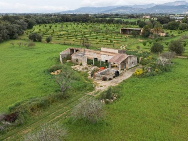 Terreno en venta en Binissalem