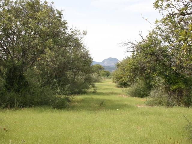 Terreno en venta en Binissalem