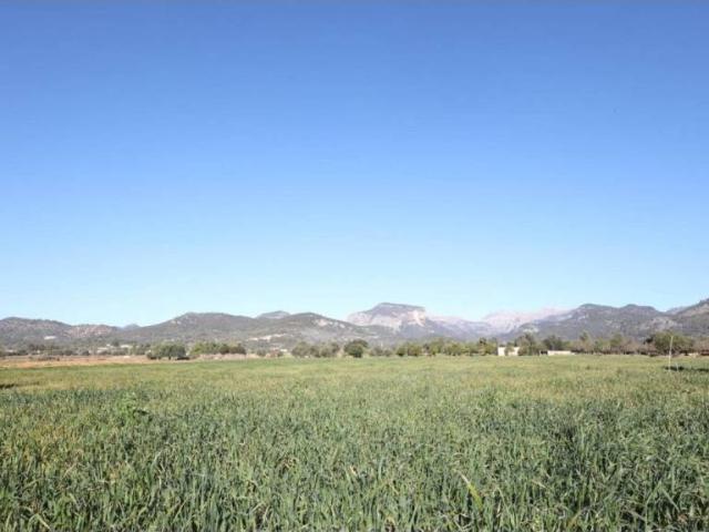 Terreno en venta en Raiguer, Baleares