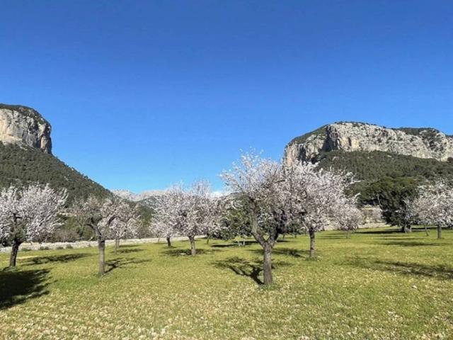 Terreno en venta en Raiguer, Baleares