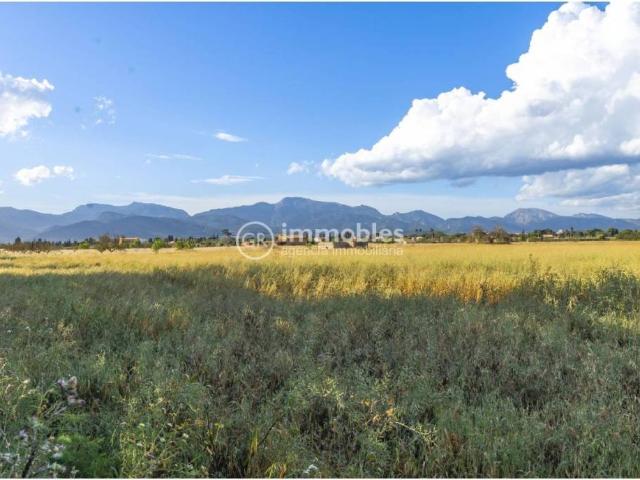 Terreno en venta en Binissalem