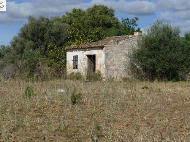Terreno en venta en Binissalem