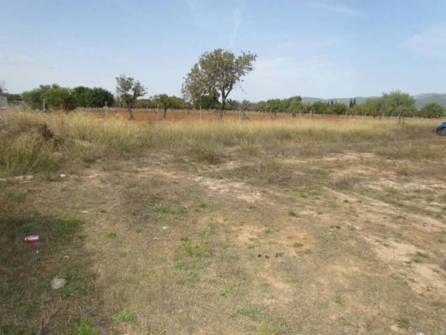 Terreno en venta en Binissalem