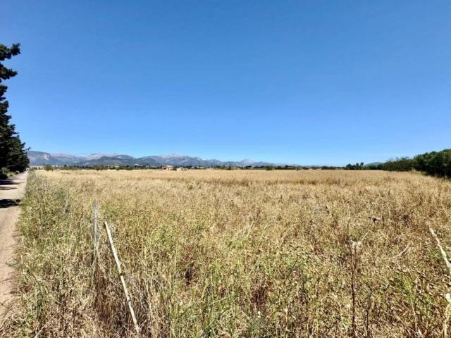 Terreno en venta en Binissalem