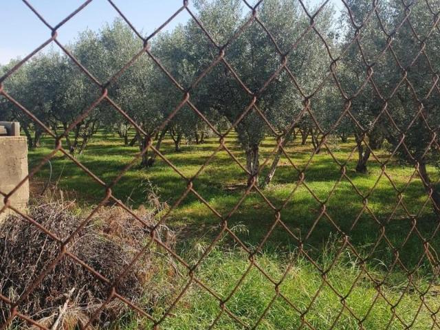 Terreno en venta en Raiguer, Baleares