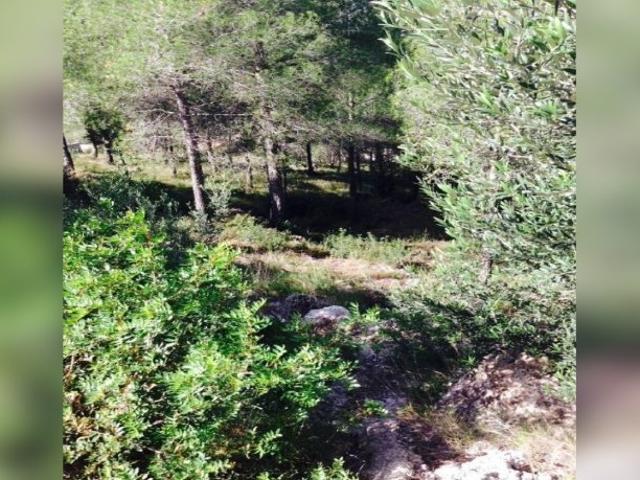 Terreno en venta en Baix Penedès, Catalunya