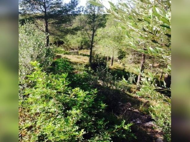 Terreno en venta en Baix Penedès, Catalunya