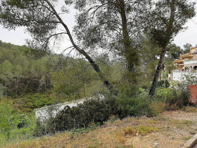 Terreno en venta en Baix Penedès, Catalunya