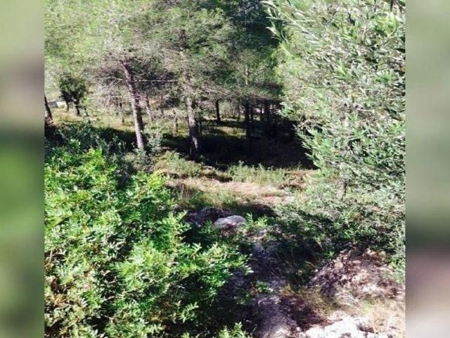 Terreno en venta en Baix Penedès, Catalunya