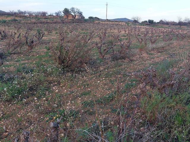 Terreno en venta en La Bisbal Del Penedès