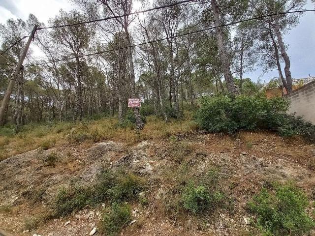 Terreno en venta en La Bisbal Del Penedès