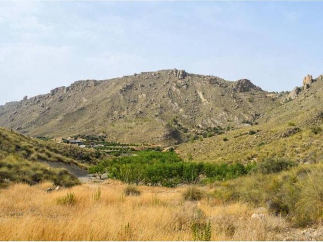 Terreno en venta en Vega Alta del Segura, Murcia