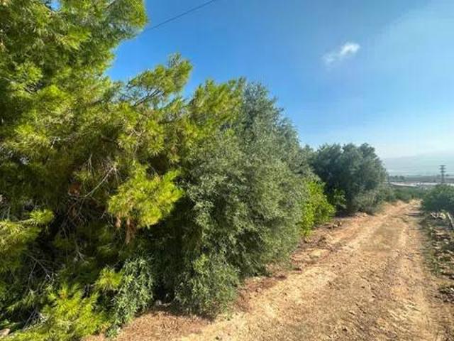 Terreno en venta en Tollos, Vega Alta del Segura