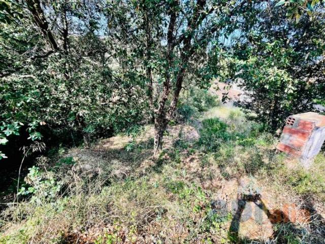 Terreno en venta en la Selva, Catalunya