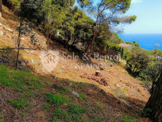 Terreno en venta en Cala Sant Francesc, la Selva
