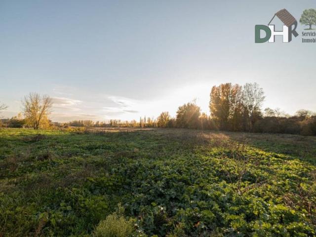Terreno en venta en Boadilla Del Monte Terreno en venta en Boadilla Del Monte