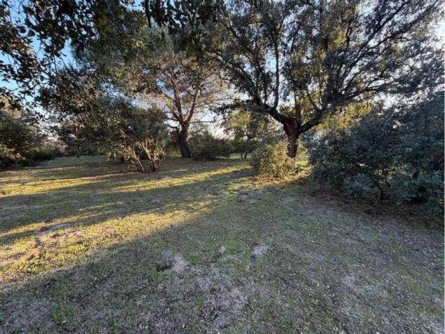 Terreno en venta en Boadilla Del Monte, Madrid