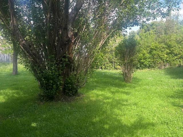 Terreno en venta en Boadilla Del Monte Terreno en venta en Boadilla Del Monte