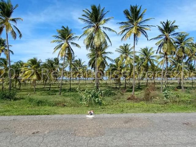 Propiedad en venta en Sucre