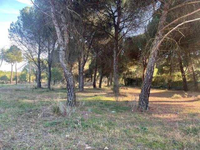 Terreno en venta en Boecillo, Castilla y León