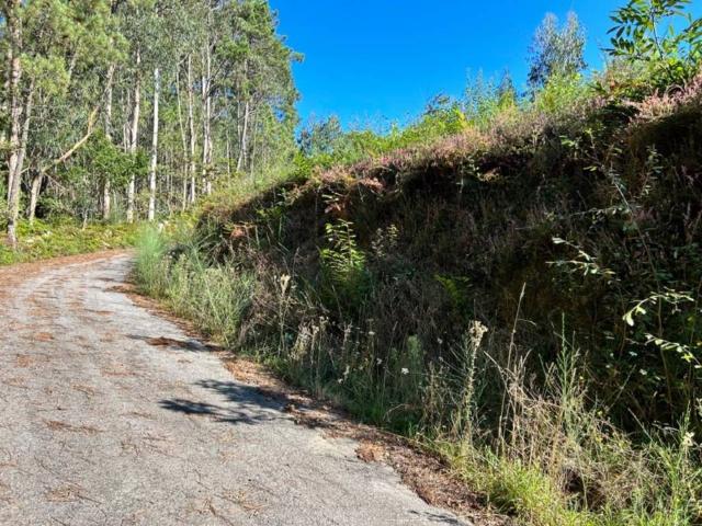 Terreno en venta en Cespón, A Barbanza