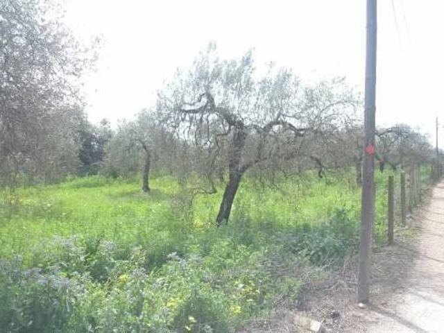 Terreno en venta en Bollullos De La Mitación