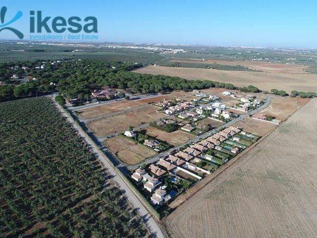 Terreno en venta en Bollullos De La Mitación, Andalucía