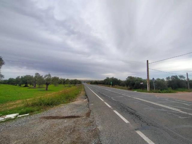 Terreno en venta en Bollullos De La Mitación, Andalucía