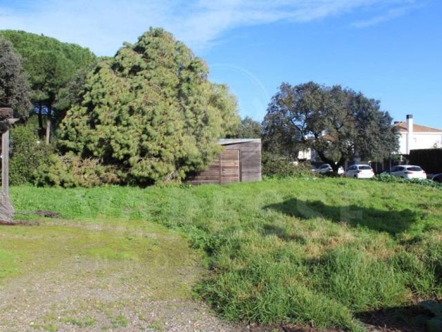 Terreno en venta en Bollullos De La Mitación, Andalucía
