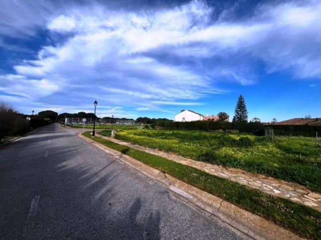 Terreno en venta en Bollullos De La Mitación, Andalucía