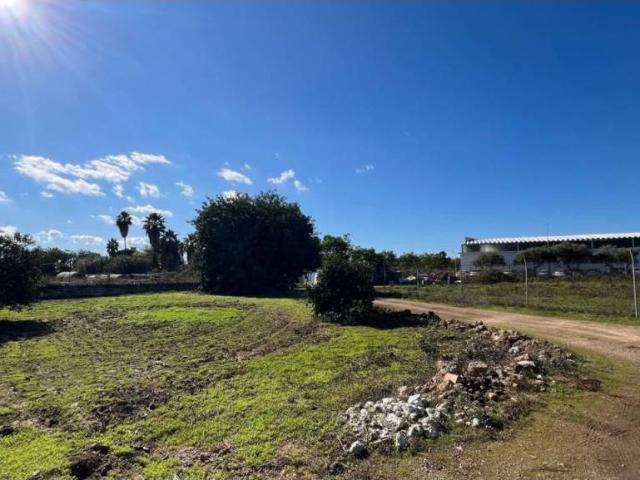 Terreno en venta en Bollullos De La Mitación, Andalucía