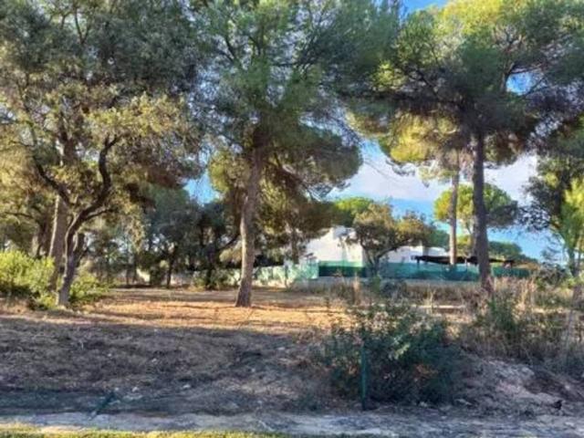Terreno en venta en Bollullos De La Mitación, Andalucía