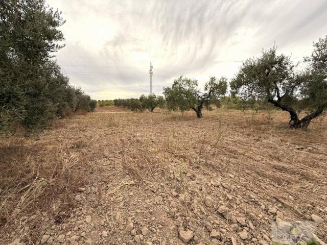 Terreno en venta en El Condado, Andalucía