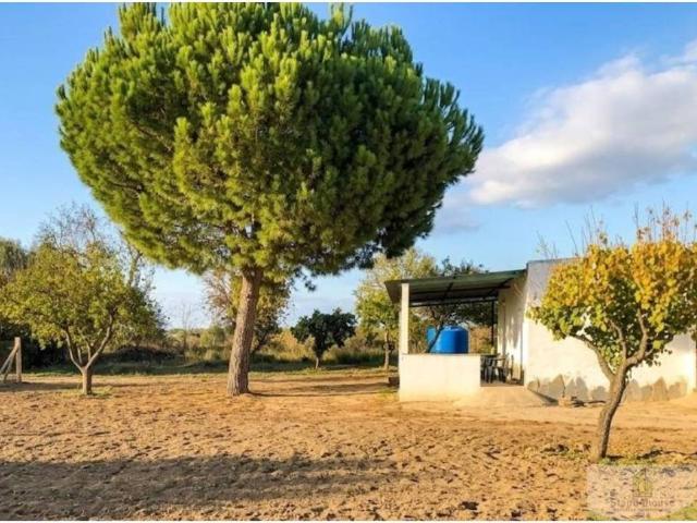 Terreno en venta en El Condado, Andalucía