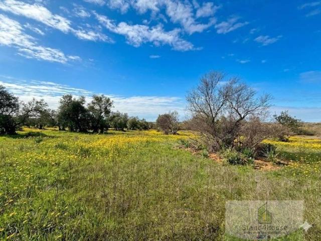 Terreno en venta en El Condado, Andalucía