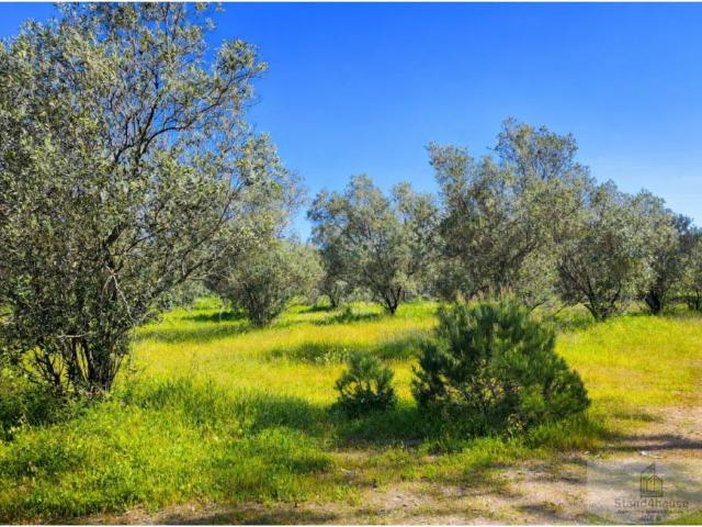 Terreno en venta en El Condado, Andalucía