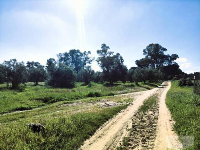 Terreno en venta en El Condado, Andalucía
