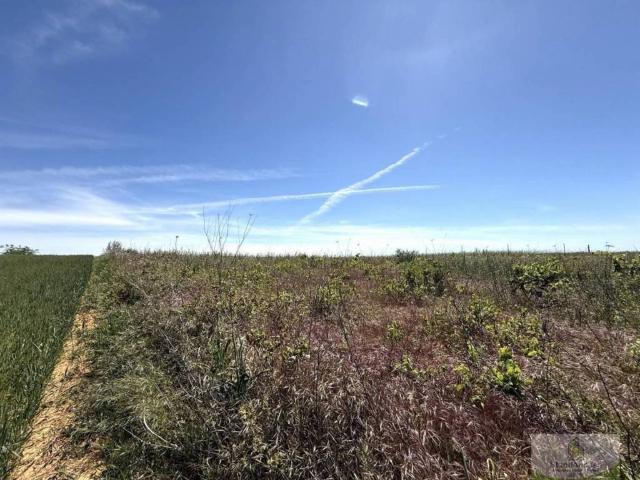 Terreno en venta en El Condado, Andalucía