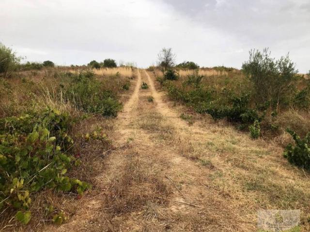 Terreno en venta en El Condado, Andalucía
