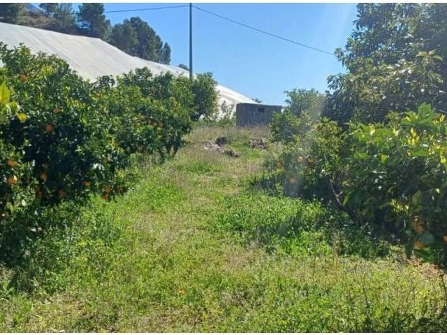 Terreno en venta en la Marina Baixa, Valencia
