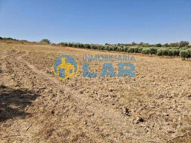Terreno en venta en El Condado, Andalucía