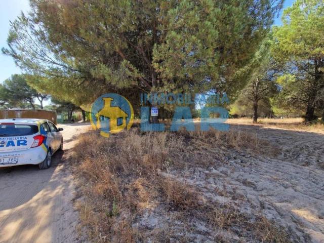 Terreno en venta en El Condado, Andalucía