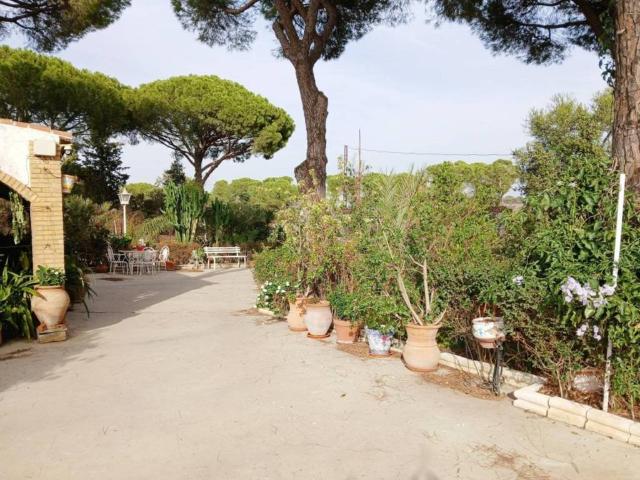 Terreno en venta en El Condado, Andalucía