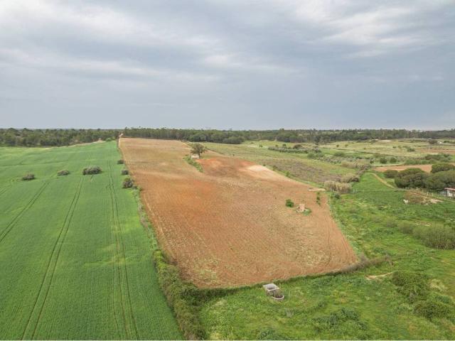 Terreno en venta en El Condado, Andalucía